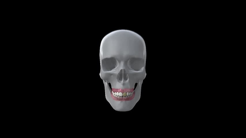 Moving 3D cg white human teeth and pink gums showing veneer being placed on upper front tooth