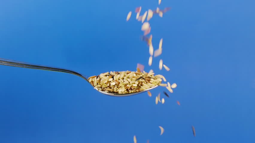 Wild Rice Dropped On Spoon Slow Motion. Shot at 60p conformed to 24p.