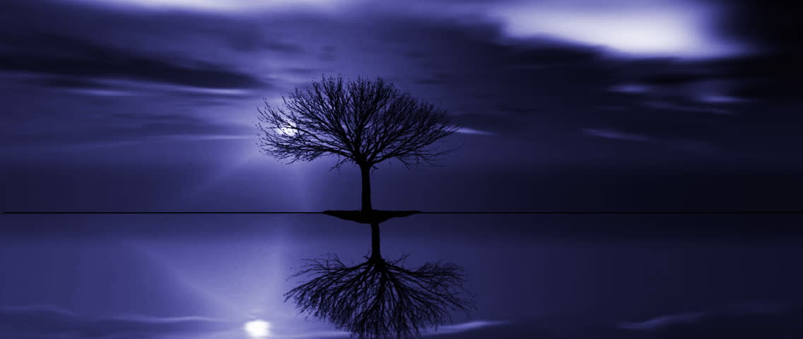 night clouds time time lapse of tree on island