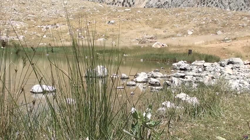 Crater lakeside, stones in the water
