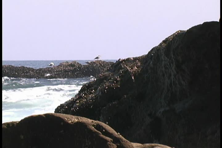 Ocean Reef and Rocks