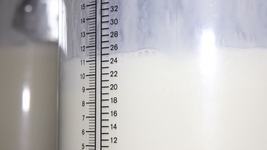 Filling bottles with milk. Milking cows on farm, working with dairy equipment