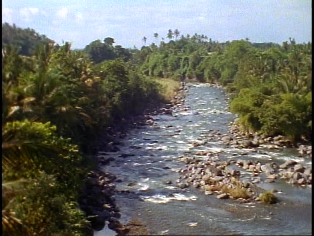 Bali tropical jungle, green, lush rainforest, river, wide shot