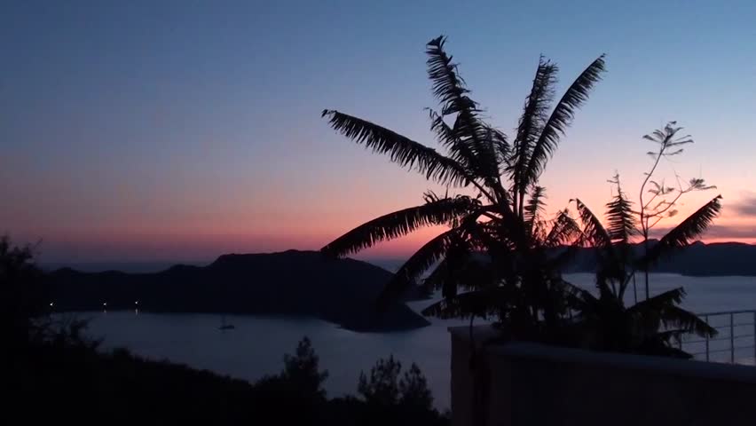 Palms, bay, boat, lights and an island at twilight 