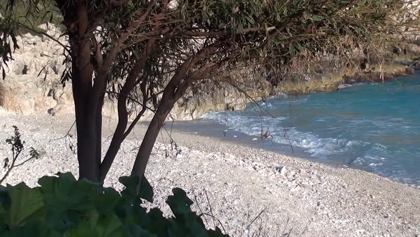 Lovely pebble beach, tree and inviting sea