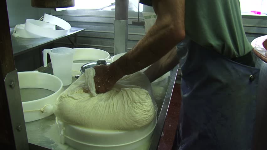 Making cheese: Cheese maker transfers curd mass in cheese molds using a linen cloth