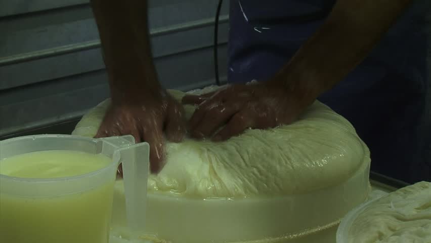 Making cheese: Cheese maker transfers curd mass in cheese mold using a linen cloth. Can filled with whey in foreground.