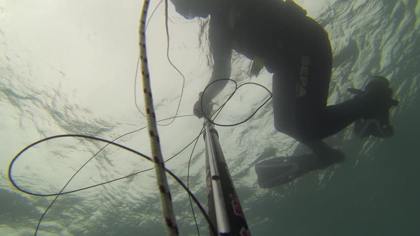 NORTHERN ISRAEL â MARCH 31: Spear fisherman spearfishing underwater, while searching for big and fat fish and octopus, March 31, 2013