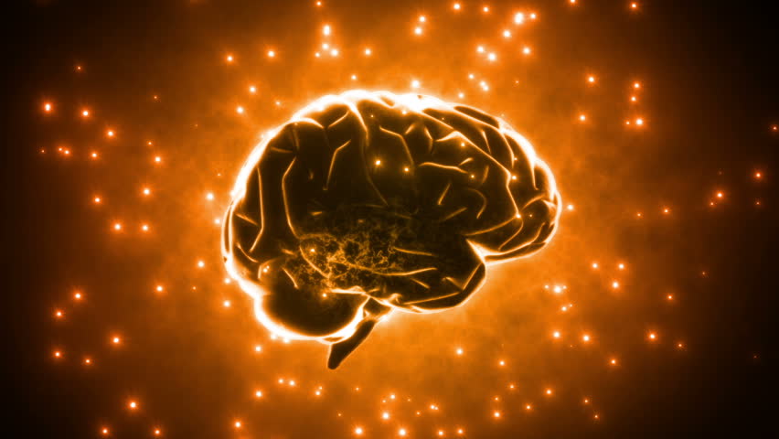 Brain images.