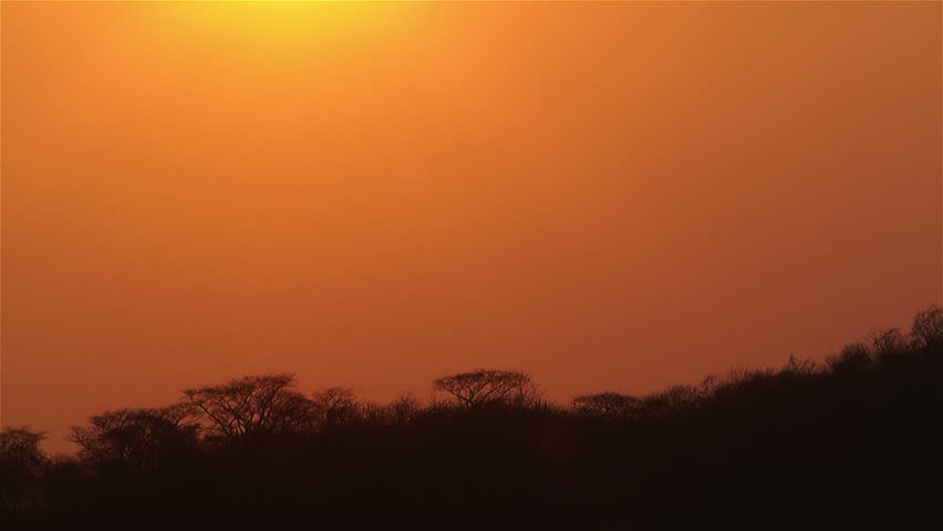 African Sunset over Jungle in Dry Season Timelapse