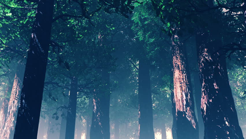 Deep Forest Fairy Tale Scene Fireflies 3D render
