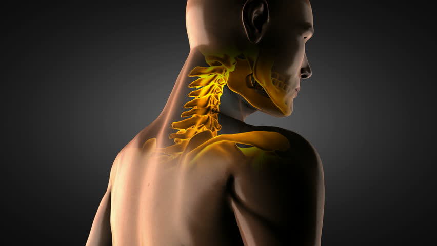 human radiography scan on black