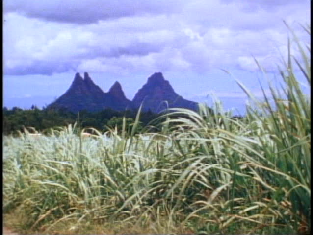Mauritius, cane fields, craggy pointed mountains in background, wide shot