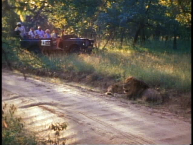 Mala Mala Game Reserve, South Africa, people on land rover watch