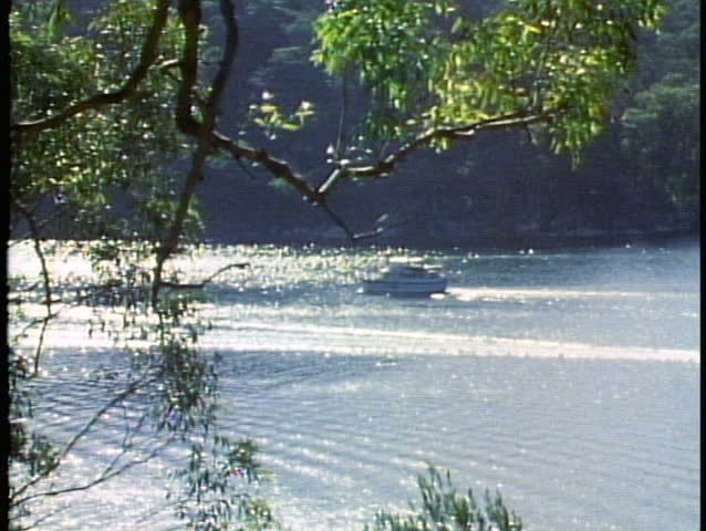 Lake, cove, cabin cruiser boat passing, backlighting, Sydney, Australia
