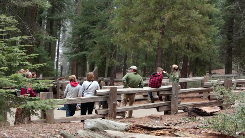 SEQUOIA CALIFORNIA APR 2013: Major tourism and nature ecology destination. Park Ranger demonstration Sequoia National Park California. Established 1890. 404,063 acres. The largest trees on Earth.
