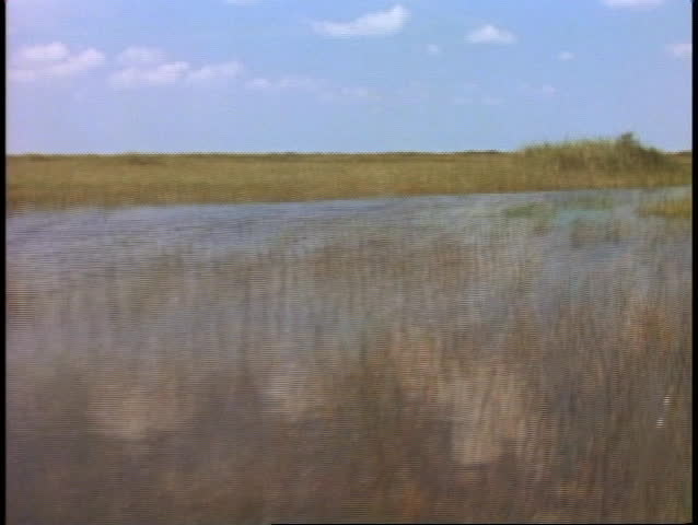 Everglades airboat ride, POV from front of boat sailing out fast over the sawgrass