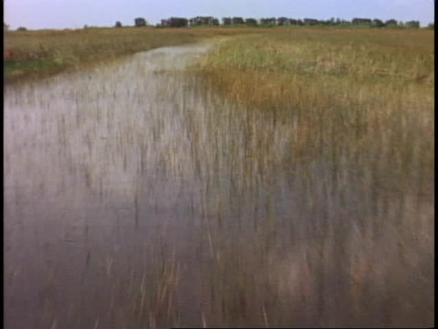 Everglades airboat ride, POV from front of boat sailing out fast over the sawgrass