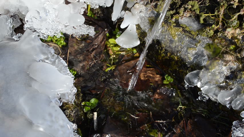 clear pure water stream flowing into the icy grass in winter day