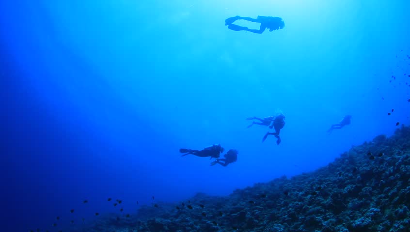 HD Video Clip of Group of Scuba Divers Underwater