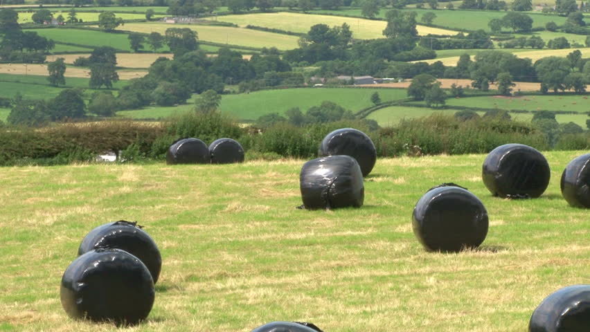 Hay bails in a field with a waterproof plastic covering.