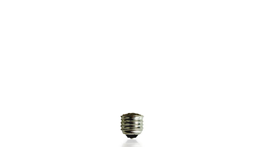 Tree growing from am old bulb with ground reflection,green energy concept,Alpha included