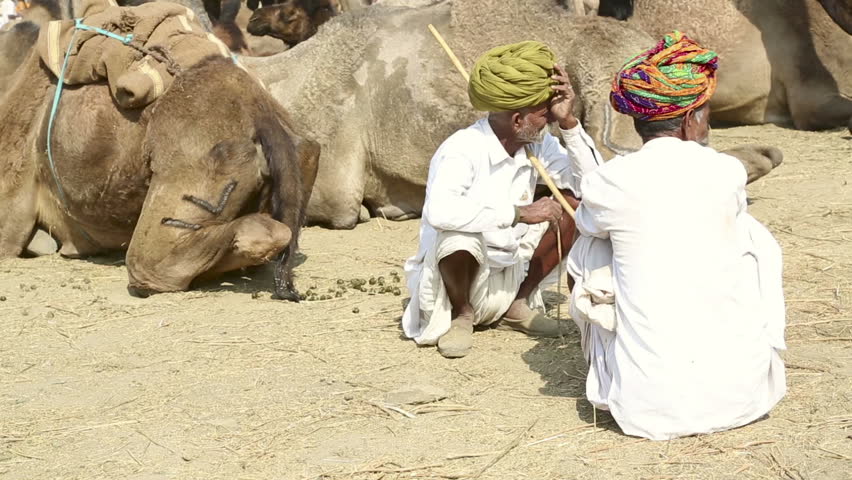 PUSHKAR, INDIA - NOVEMBER 20, 2012: Two men talk, Pushkar Camel Mela (Pushkar Camel Fair) on November 20, 2012 in Pushkar, Rajasthan, India. This fair is the largest camel trading fair in the world.