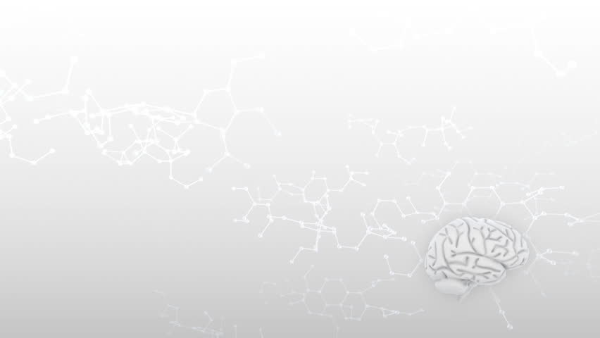 Brain images.