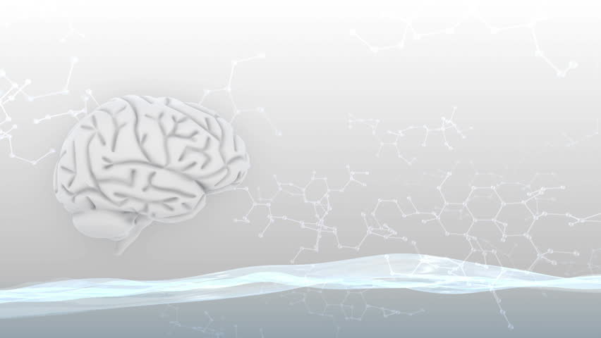 Brain images.
