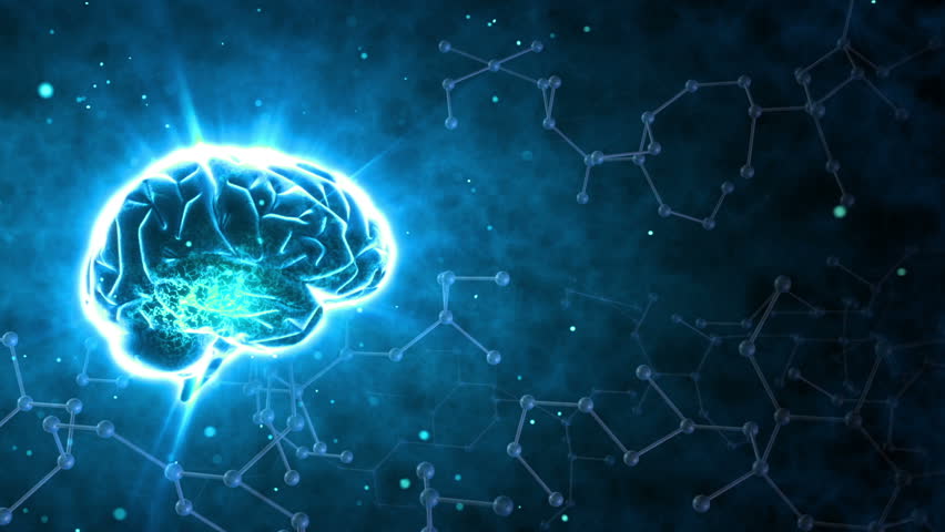 Brain images.