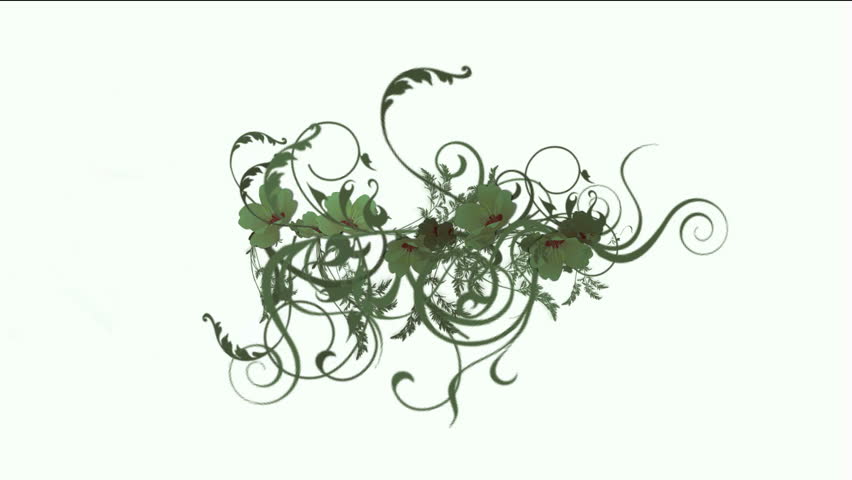 growing curly vine & plant background,flower pattern.
