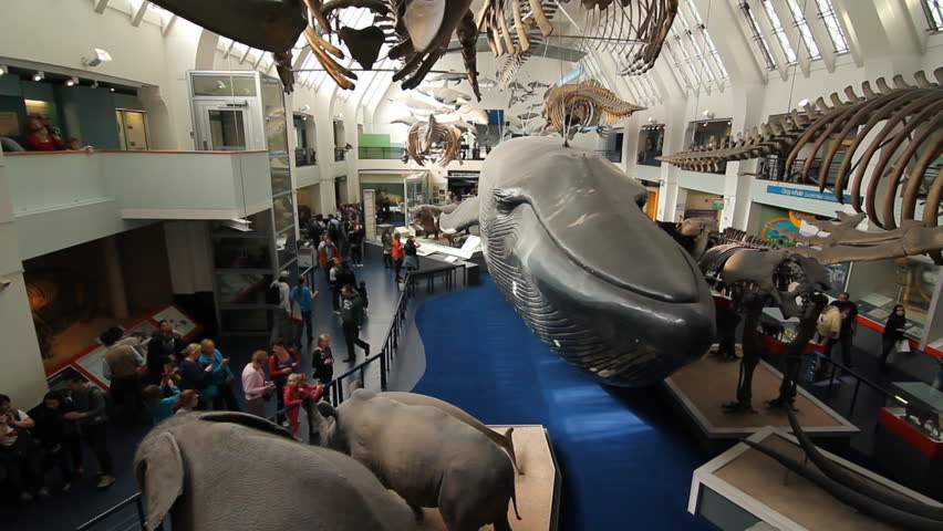 LONDON, UK on APRIL 3rd: Natural History Museum on April 3rd, 2012. The museum is home to life and earth science specimens comprising some 70 million items.