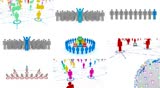 Global business, social media network connection concept, team leadership