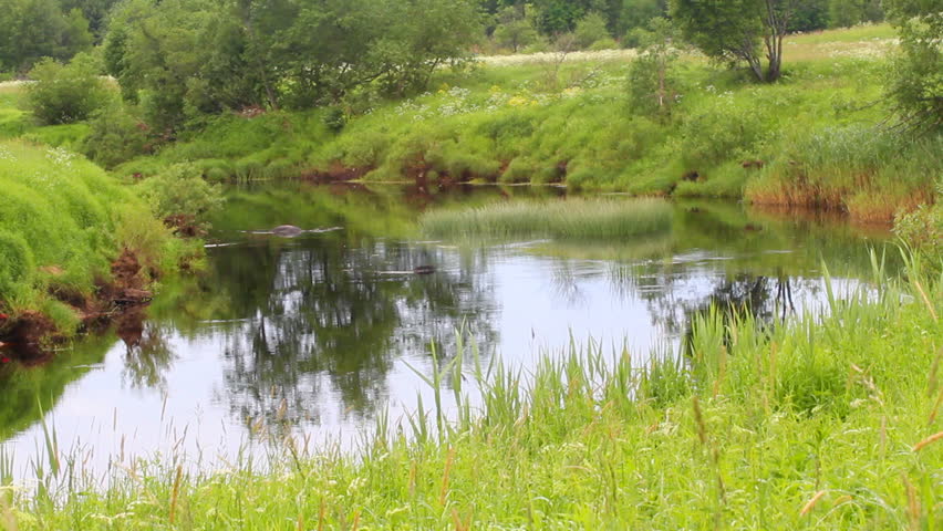 river with a whirlpool in the summer