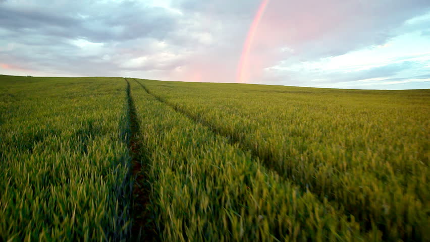  steady flying ahead for rainbow