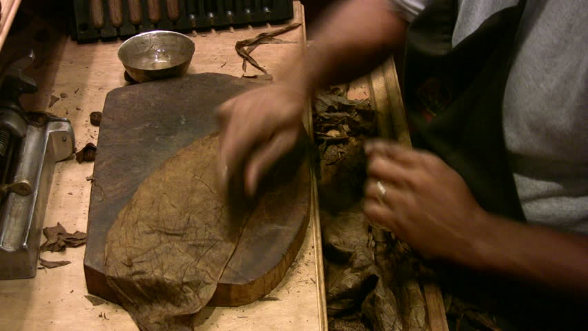Video man rolling handmade cigars, hands, arms and work table. Roll and cut. Fine hi quality smoke. Custom Aficionado tobacco humidors cigar shop in San Antonio, Texas. Don Despain of Rekindle Photo