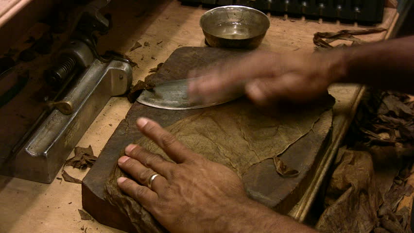 Video man roll handmade cigars right to left.  Hands, arms and table. Roll and cut. Hi quality smoke. Custom Aficionado tobacco humidors cigar shop San Antonio, Texas. Don Despain of Rekindle Photo
