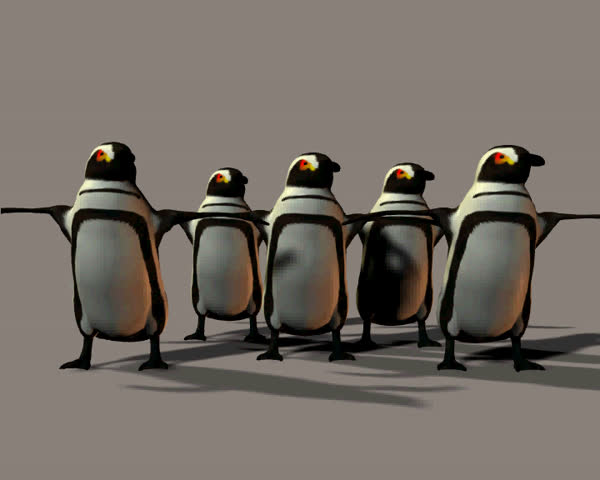 A chorus line of dancing penguins