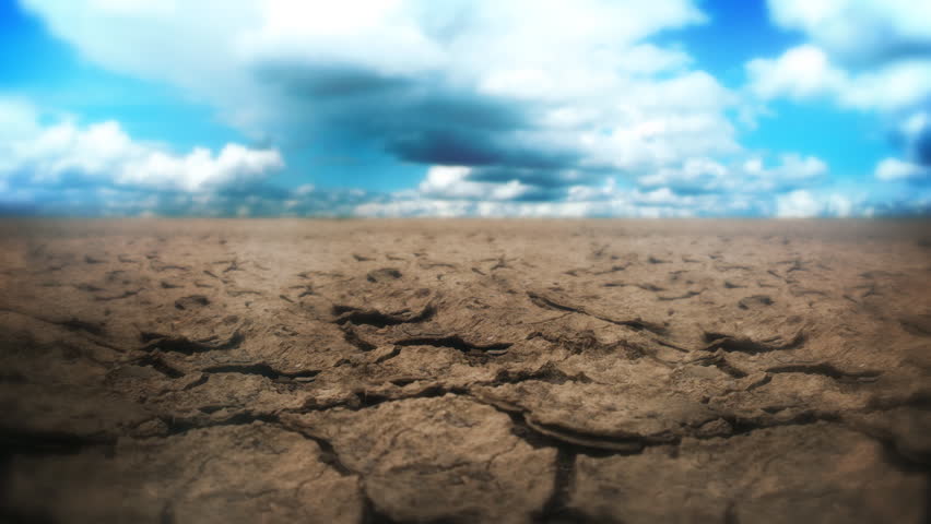 Digital animation of a little plant sprouting from the dry Earth. 