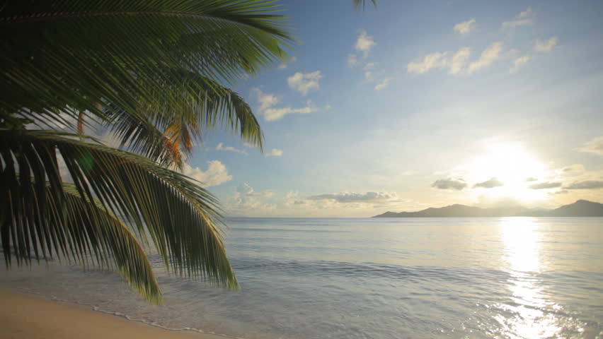 tropical beach just before sunset