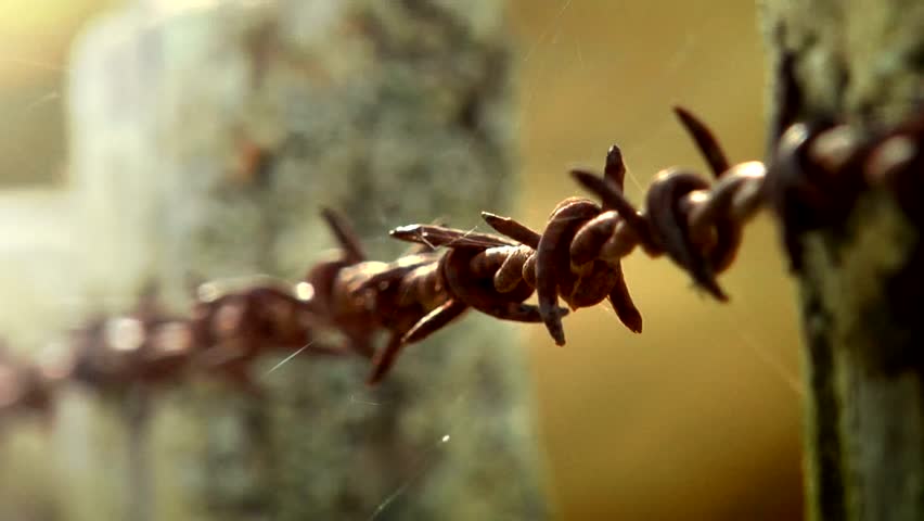Old barb wire fence Clip 2