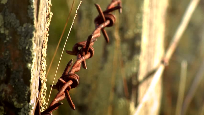 Old barb wire fence Clip 3