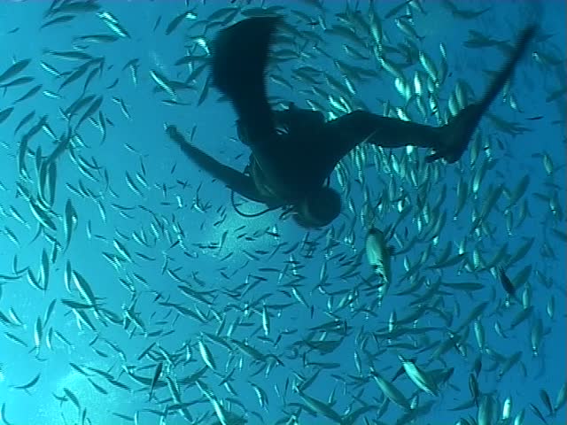Malta underwater diving