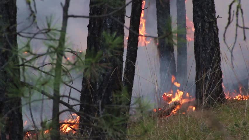 Audio Crackling Fire