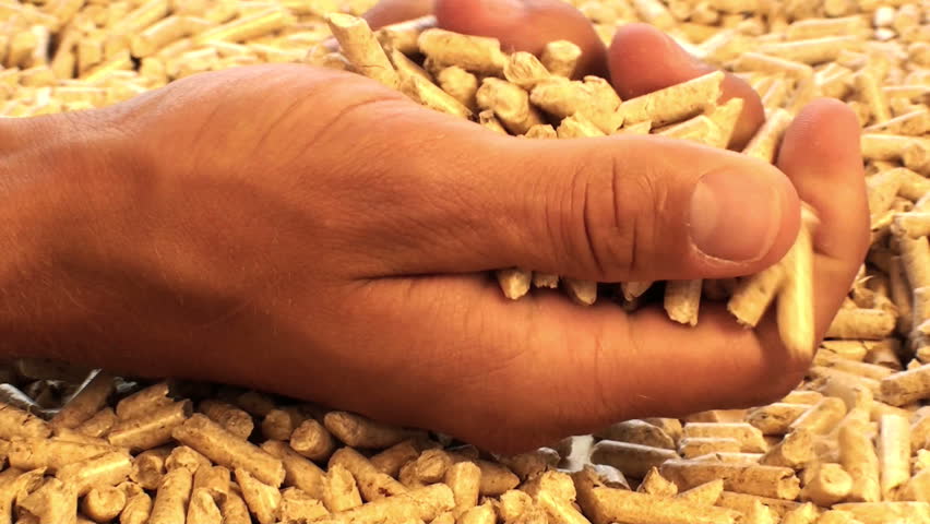 hand with wood pellets