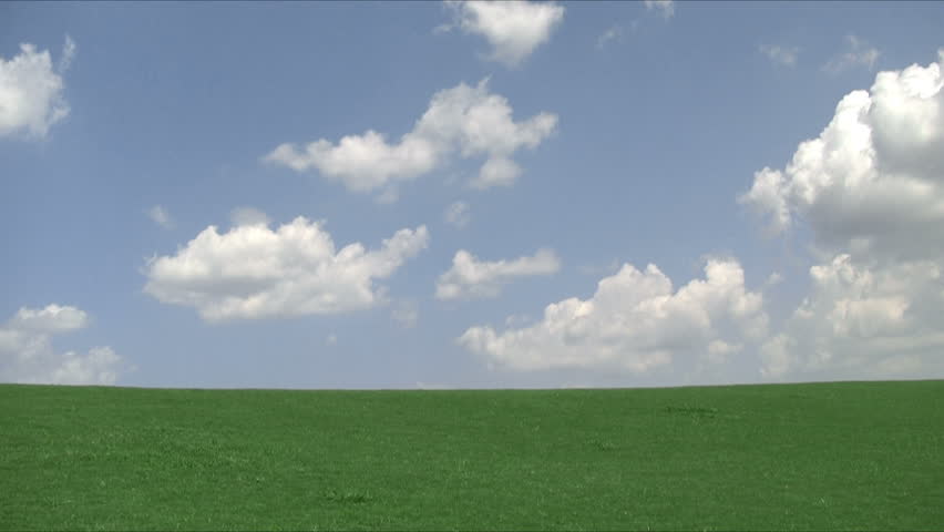 Time lapse of green grass and blue sky