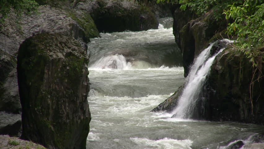 Rio Hollin, Ecuador. Running through tropical rainforest