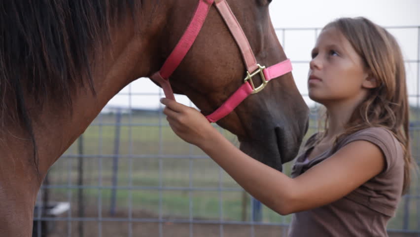 A young girl gently brushing and petting her horse.