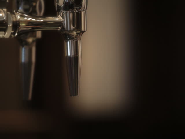Barman pours beer, PAL