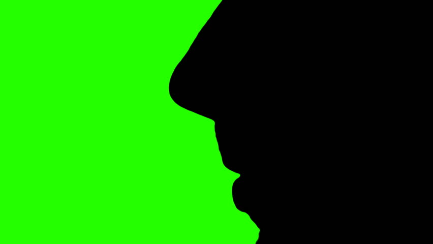 be quiet silhouette - green